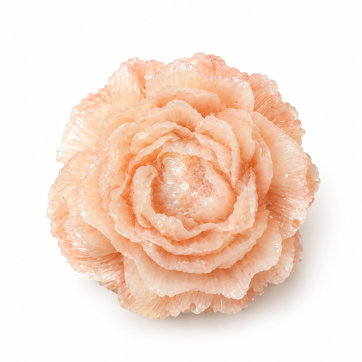 Rosé Blossom Magnet