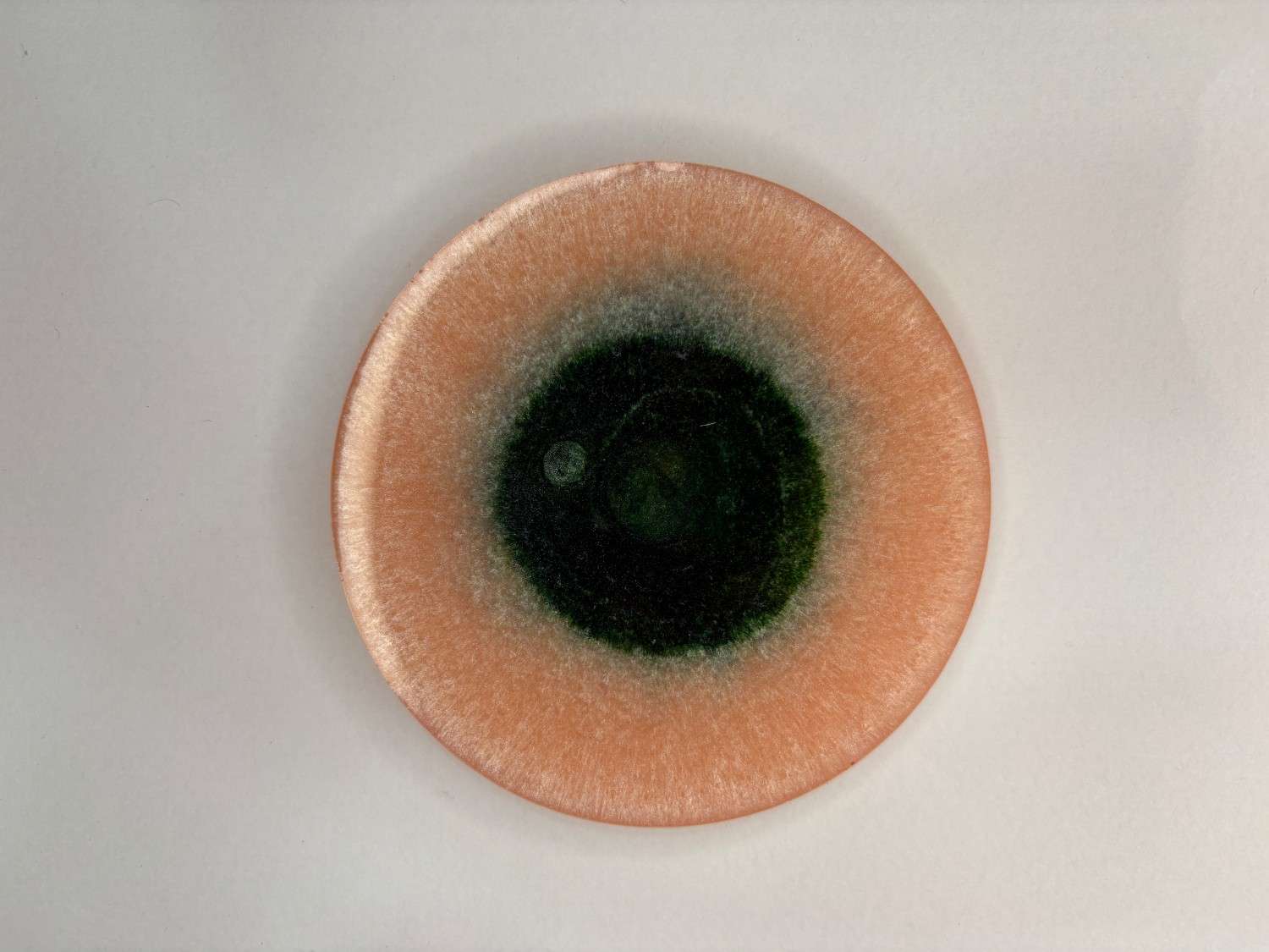 Resin Luxury Tea Coaster (6 Pcs)