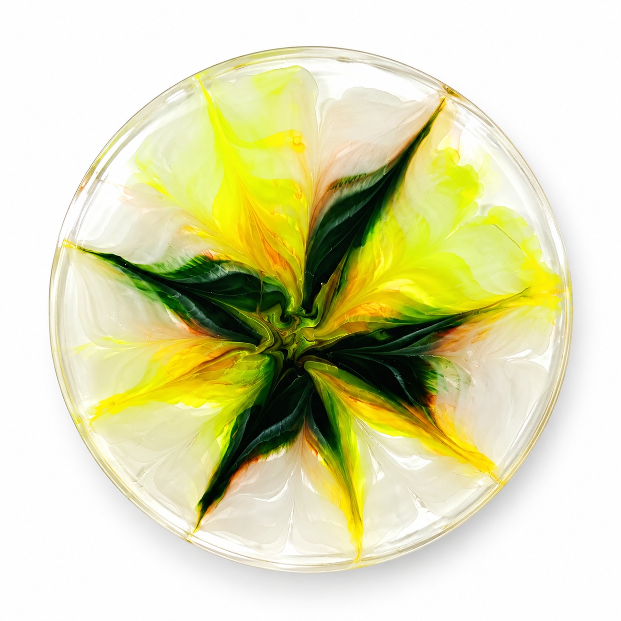 Resin Luxury Tea Coaster (6 Pcs)