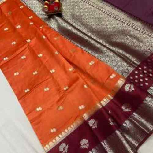 Orange / Rust Orange with Red Border BANARASI RAW MANGO DAYBAL SOFT SILK SAREE