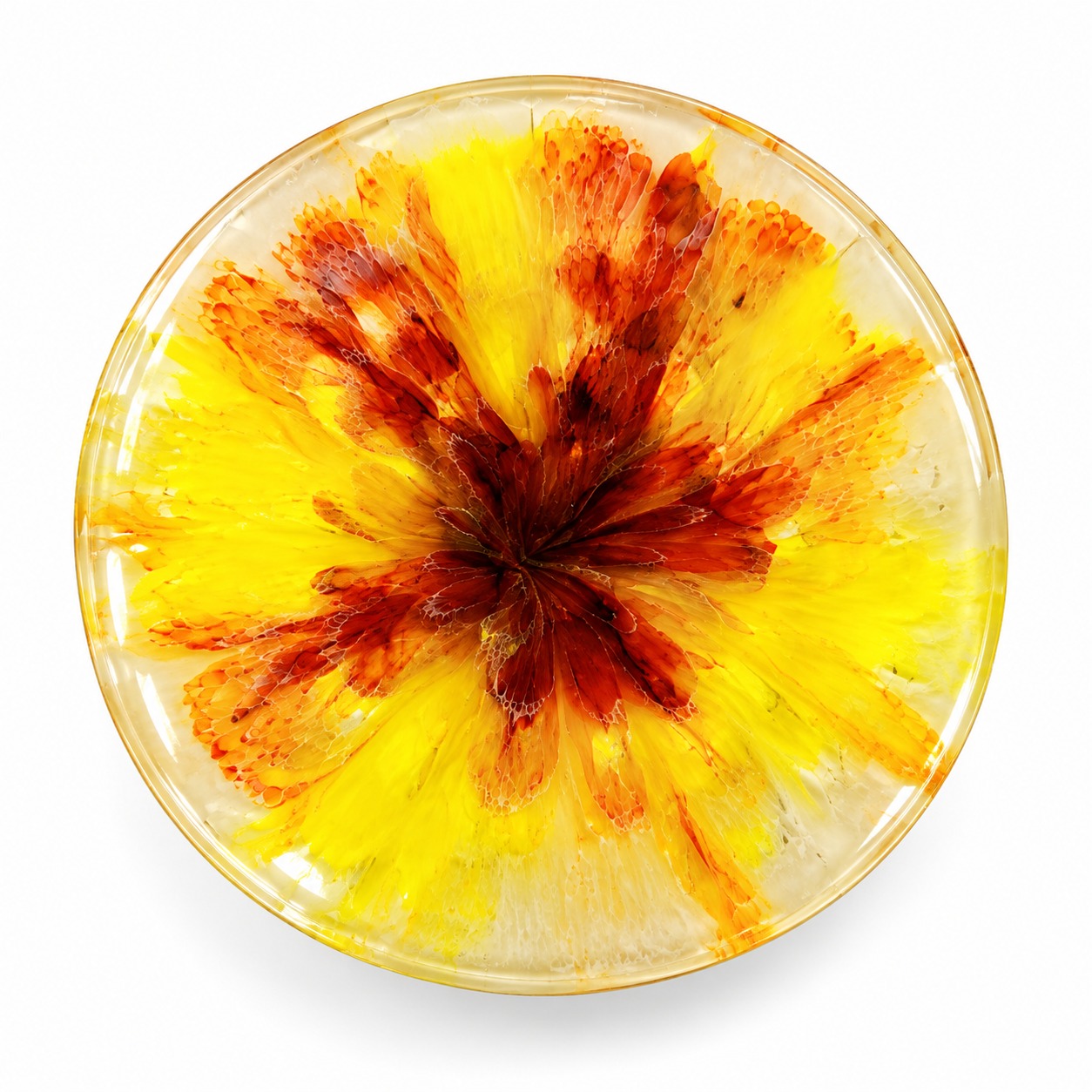 Resin Luxury Tea Coaster (6 Pcs)